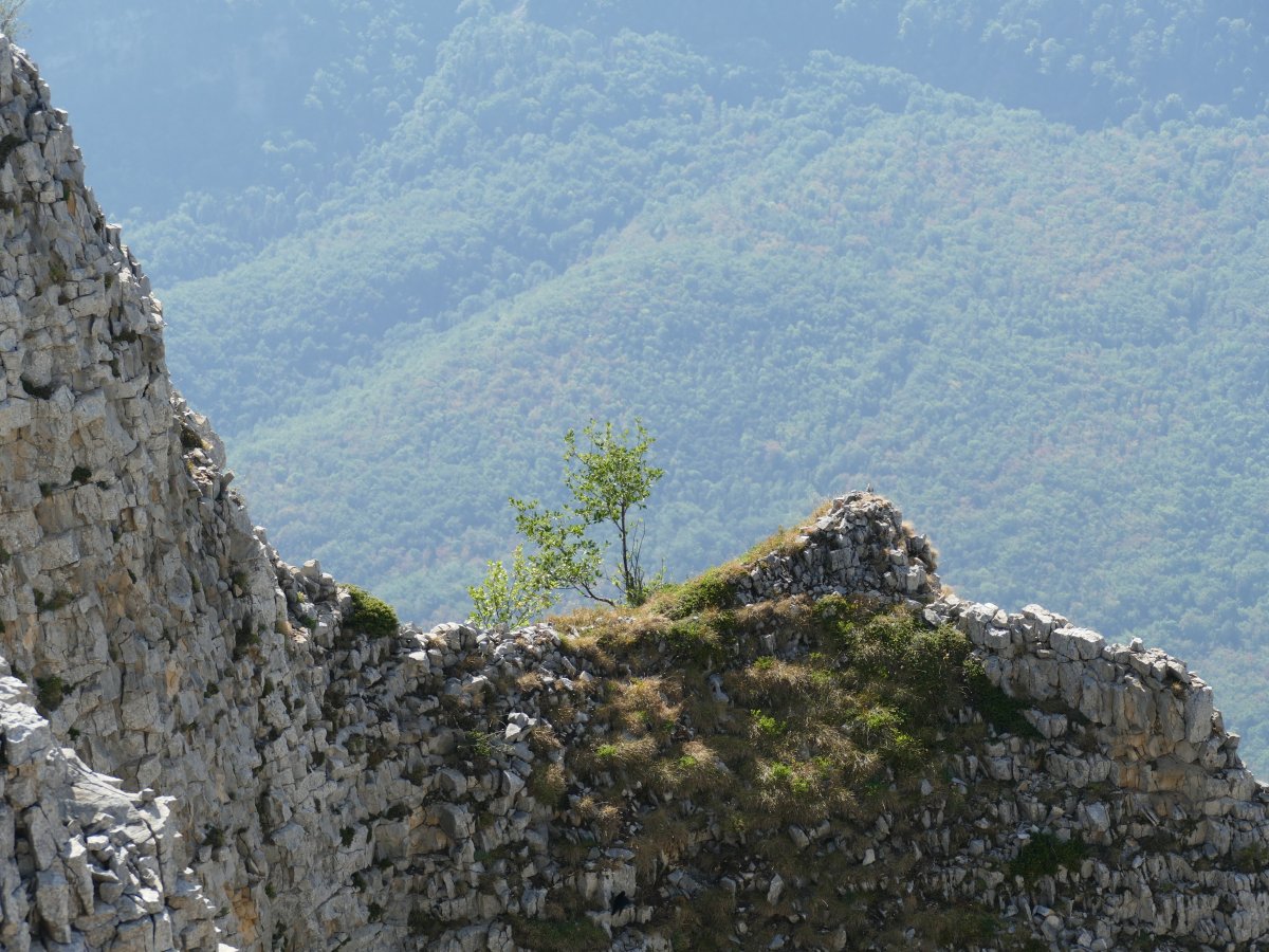 Sur les cimes du Vercors, la vie.